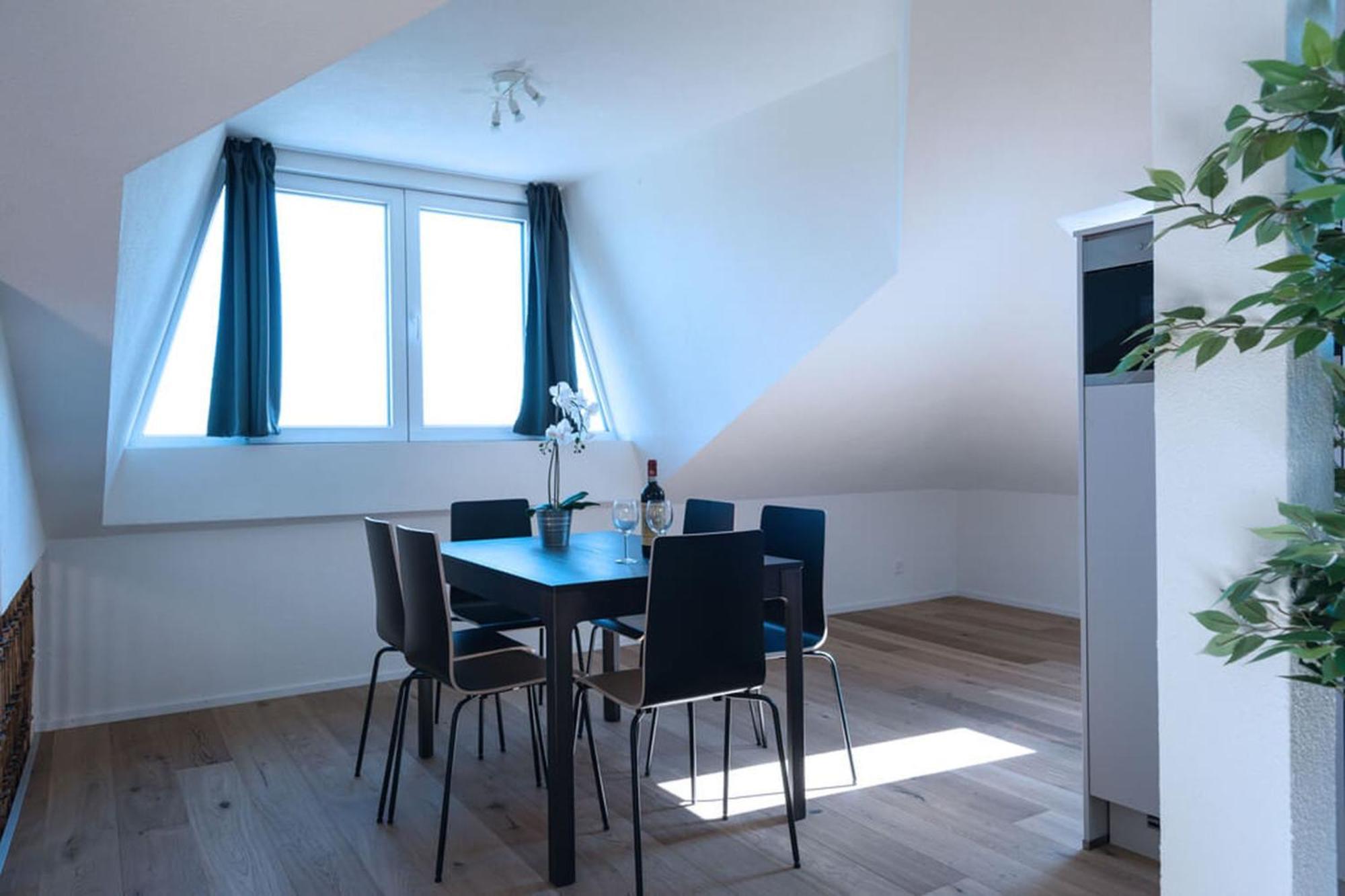Hitrental Wiedikon Apartments 苏黎世 外观 照片